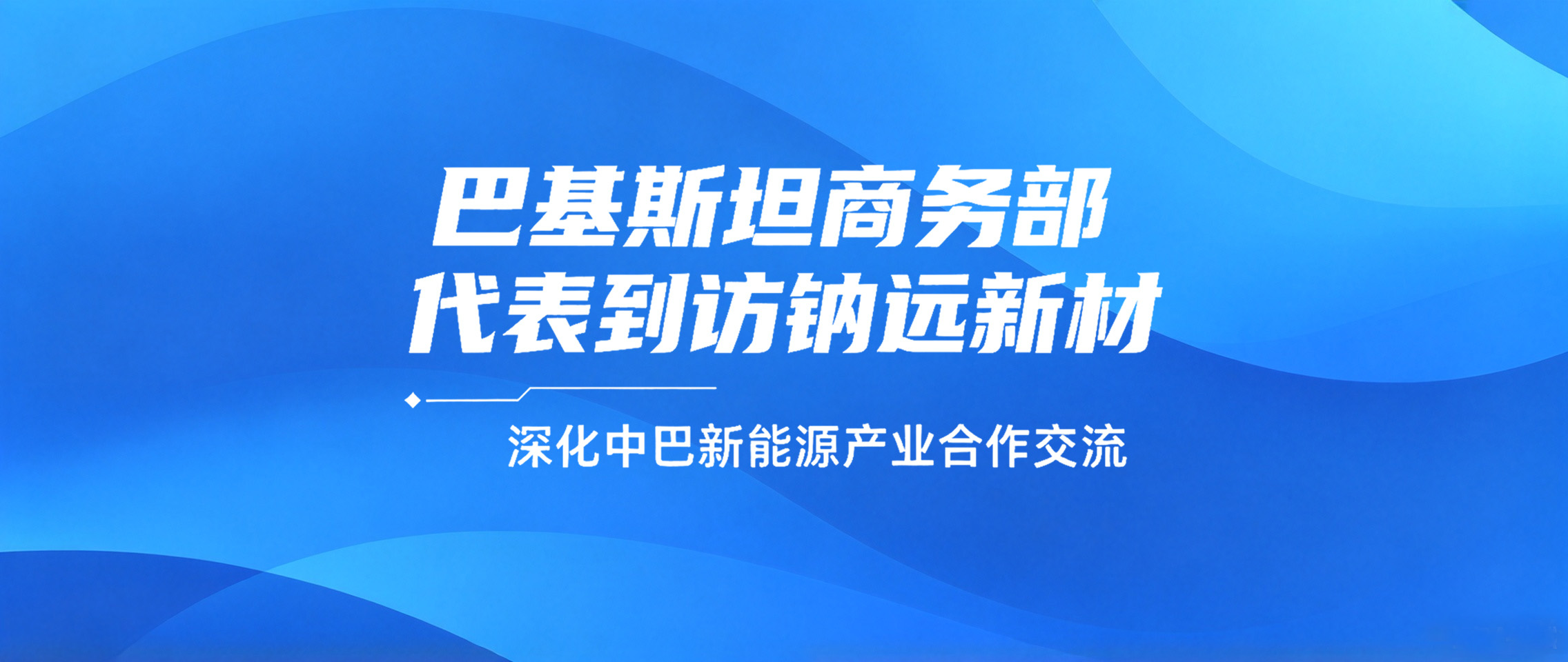 巴基斯坦商务部代表到访钠远新材，深化中巴新能源产业合作交流